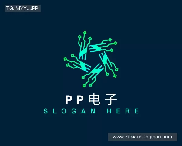 关于PP电子首页