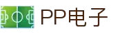 PP电子(中国大陆)官方网站